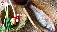 这才是我要找的“清蒸鲈鱼”，这几步不能省，大酒店都比不上