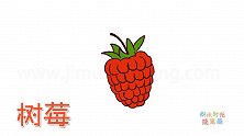 水果简笔画大全，画树莓简笔画