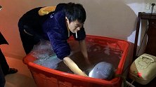大叔花千元买了条“会笑的大鱼” 回家一查越想越不对劲