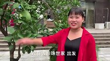 小爽姐妹俩选珍珠，改改看上镇店之宝，套路庆伟花钱赶紧买