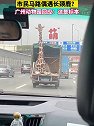 广州动物园回应市民大街偶遇长颈鹿 ：它是英雄，做标本投身科普