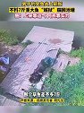 广东东莞：7斤大鱼挣脱鱼护蹦回池塘