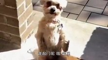 爆笑：妹子是个小妖精，瞬间偷走了我的心