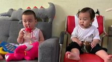 平时活泼好动的小胖墩，一有女娃过来做客就好害羞，真逗！