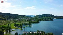 四明湖水杉林，风景如诗似画，令人沉醉