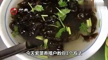 做紫菜汤，直接加水是外行，大厨教你多一步，汤更好喝