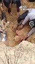 万幸！陕西榆林2小孩遇塌方被埋，村民手刨救出！ 正能量视频