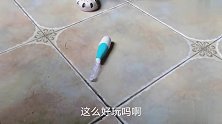 宝宝发现电动牙刷放在地上还可以动，这下好了，跟牙刷玩起来了！