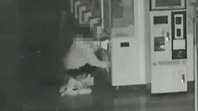 浙江男子为讨女友欢心 组团夜盗娃娃机