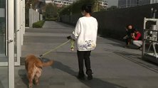 浙江杭州：车库里遛狗？个人隐私被发到业主群，女子怒了