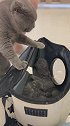 猫：这孩子脾气太暴躁了，一点也不像我！