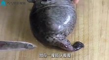 日本人买了条“带腿”的鱼，一摸肚子鼓鼓，切开一看难以置信！