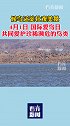 守护自由的翅膀 观候鸟迁徙壮观美景 SEE任鸟飞 阿拉善SEE公益机构