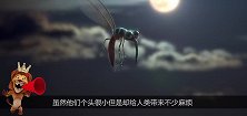 如果蚊子吸食你的血液时，不能打死它，现在才知道这个秘密