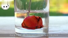 比硫酸腐蚀性还强的液体是什么连乐高都能融化，女生经常使用
