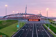 为啥很多司机刚到港珠澳大桥就掉头？原来过桥还要这些条件！