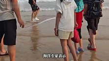 海南一沙滩现巨型搁浅皇带鱼，目测3米多长，专家：肉质较差不可食用