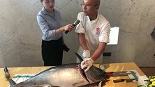 四万块的蓝鳍金枪鱼，堪称鱼中的劳斯莱斯，这样的美食你吃过吗