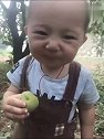 小宝宝吃啃苹果，一脸酸的表情太可爱了