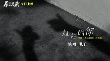 《不二兄弟》曝光片尾曲MV 弦子深情献唱片尾曲《灿烂的你》