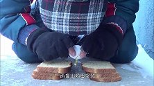 46摄氏度天气煎鸡蛋，蛋刚打上平底锅，男子忍不住笑了！