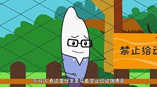同学们，去动物园我们可以长见识学知识，但同时也要注意安全