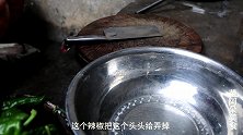 苗大姐大盆辣椒爆来吃，配点剁辣椒一炒，米饭吃了乎乎香