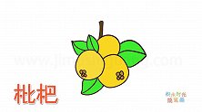 水果简笔画大全，画枇杷简笔画