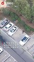 老人躺在草丛中一动不动 楼上女子看到后下一幕很暖心