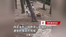 祖孙四人遭黔灵山猴群围攻，孩子吓得嗷嗷大叫，路人暖心驱赶一路护送