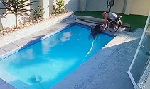 南非一残疾男子坐轮椅将100斤落水爱犬救出
