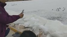 可遇不可求！青海湖沉寂一冬现开湖奇观，场面十分壮观