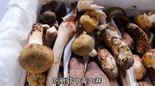 云南“毒蘑菇”真有那么美味吗？小伙试吃之后感觉有点头晕...