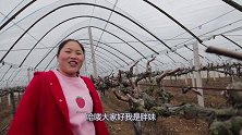 胖妹去葡萄园溜达一圈，回家做儿时的美味，1口气做8块，吃过瘾
