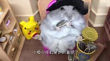 不要给仓鼠吃葡萄，隔着屏都感觉到它的无奈，松鼠：生活不易