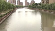 亲生外婆将早产男婴丢入河道溺死 上海检察机关提起公诉