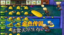 植物大战僵尸73：浓雾无尽生存，开局丢车，玉米给力关键时刻