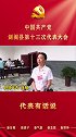【贯彻党代会精神】代表有话说