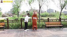爆笑熊出没：熊二熊大玩“你做我学”，动作表情一模一样，真搞笑