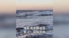 烟台大风天过后全是硬货！海肠海参爆网随地捡，有人一网网的捞