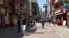 人类消失一亿年之后，地球变成什么样？专家：会开启新的“轮回”