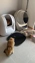 自动猫砂盆的正确使用方法……