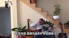 老奶奶养了一只兔子，养3年不舍得吃，孙女回家后愣住了