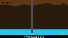 人类已用光2019自然资源定量，今年的“地球超载日”已经来了