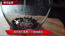 玻璃器皿改装创作苔藓山石微盆景观，制作流程分享，简单有意境