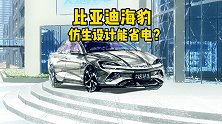 比亚迪海豹，仿生设计能省电？