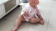 九个多月狗宝宝逮什么咬什么！直接无视妈妈