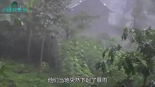 暴雨后河滩突现巨型生物,如果不是亲眼所见,都不敢相信这是真的