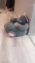 猪：我做梦都没想到，我能住上这么好的房子！