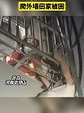 河南平顶山：真醉了！醉酒男子忘带钥匙爬外墙回家被困